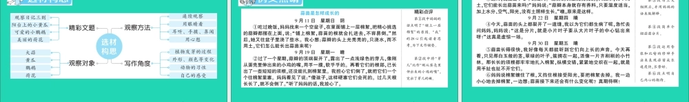 四年级语文上册 第三单元 习作三：写观察日记作业课件 新人教版-新人教版小学四年级上册语文课件