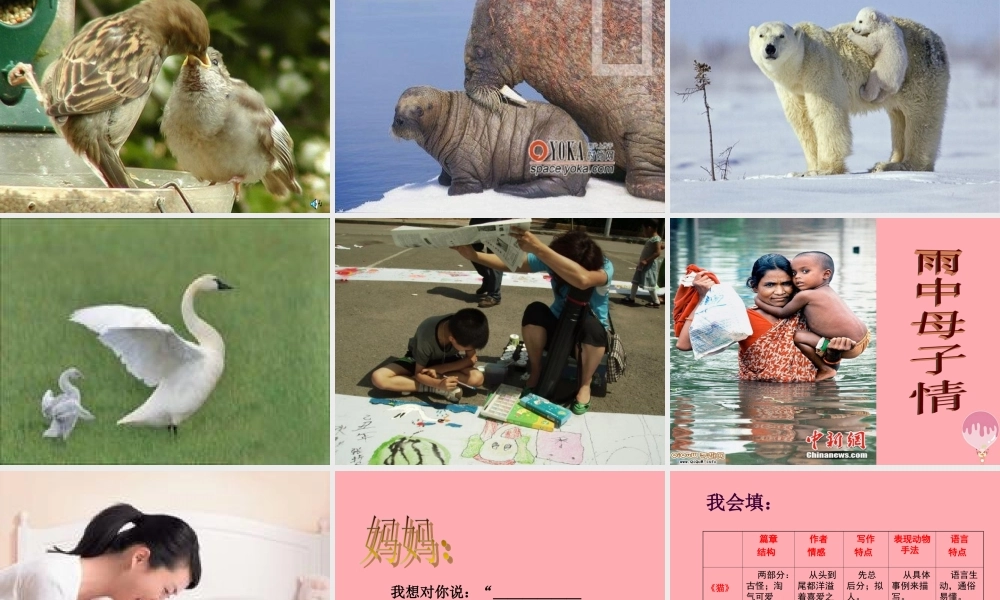 四年级语文上册 第五单元 母鸡课件6 湘教版-湘教版小学四年级上册语文课件