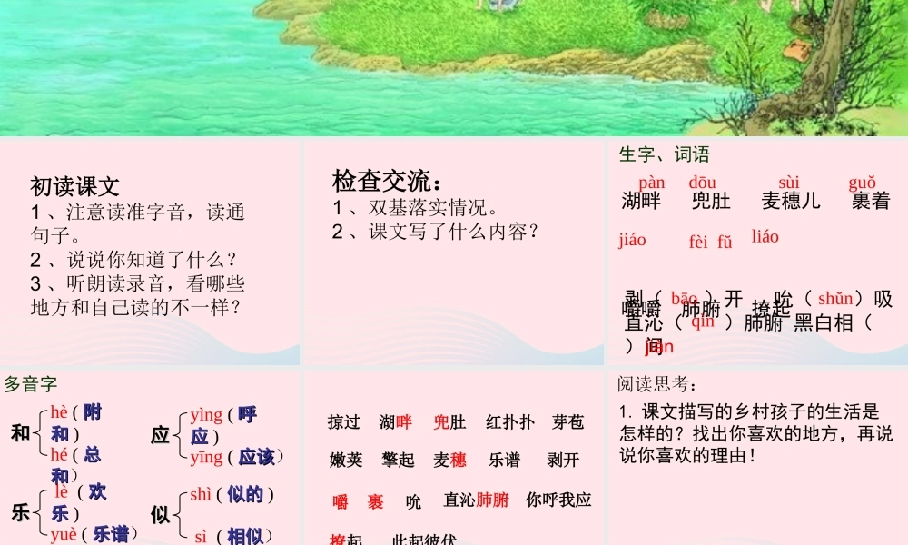 四年级语文下册 第六单元 23《麦哨》课堂教学课件1 新人教版-新人教版小学四年级下册语文课件