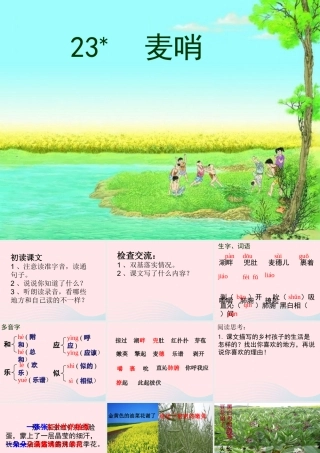 四年级语文下册 第六单元 23《麦哨》课堂教学课件1 新人教版-新人教版小学四年级下册语文课件