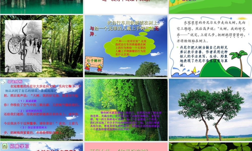 四年级语文上册 第三单元 向大树道歉课件1 西师大版-西师大版小学四年级上册语文课件