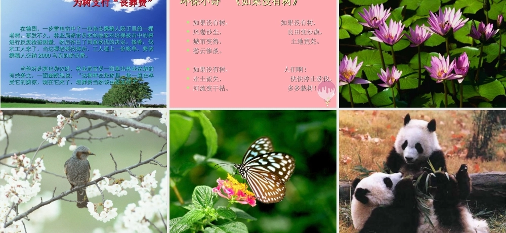 四年级语文上册 第三单元 向大树道歉课件1 西师大版-西师大版小学四年级上册语文课件