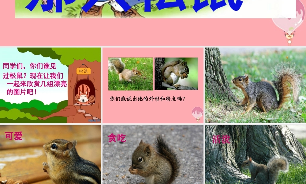 四年级语文上册 第五单元 那只松鼠课件1 西师大版-西师大版小学四年级上册语文课件