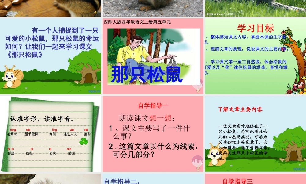 四年级语文上册 第五单元 那只松鼠课件1 西师大版-西师大版小学四年级上册语文课件