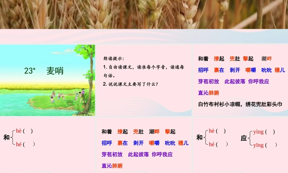 四年级语文下册 第六单元 23《麦哨》课堂教学课件2 新人教版-新人教版小学四年级下册语文课件