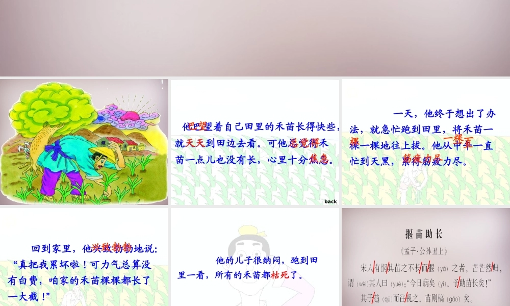四年级语文上册《揠苗助长》课件1 语文A版-语文A版小学四年级上册语文课件