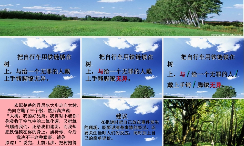 四年级语文上册 第三单元 向大树道歉课件2 西师大版-西师大版小学四年级上册语文课件