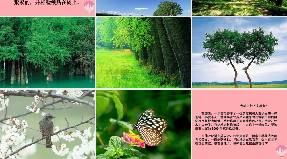 四年级语文上册 第三单元 向大树道歉课件2 西师大版-西师大版小学四年级上册语文课件