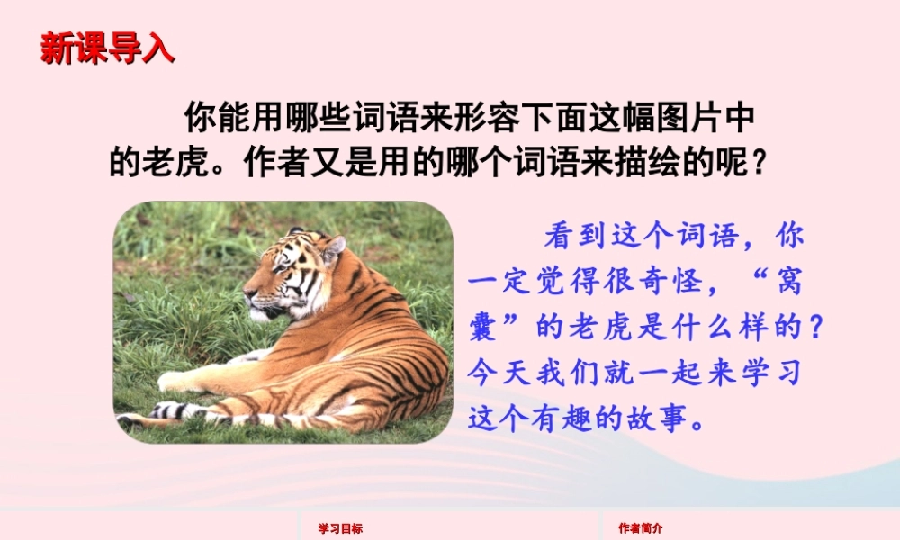 文上册 第六单元 19 一只窝囊的大老虎课件