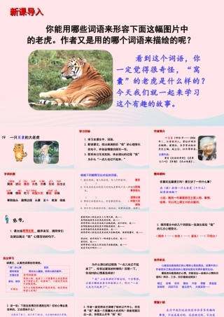 文上册 第六单元 19 一只窝囊的大老虎课件