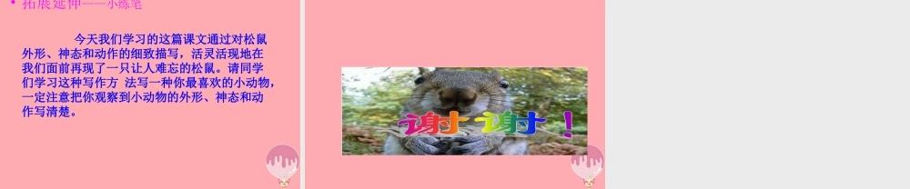 四年级语文上册 第五单元 那只松鼠课件2 西师大版-西师大版小学四年级上册语文课件