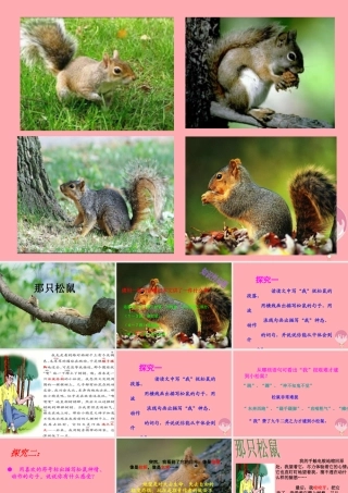 四年级语文上册 第五单元 那只松鼠课件2 西师大版-西师大版小学四年级上册语文课件