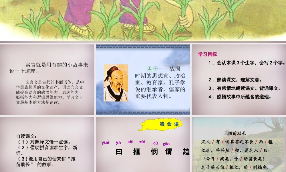 四年级语文上册《揠苗助长》课件2 语文A版-语文A版小学四年级上册语文课件