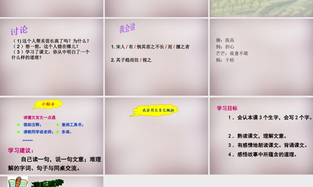 四年级语文上册《揠苗助长》课件2 语文A版-语文A版小学四年级上册语文课件