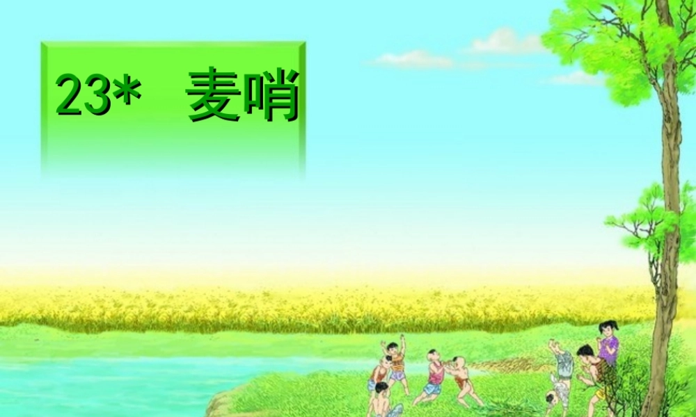 四年级语文下册 第六单元 23《麦哨》课堂教学课件3 新人教版-新人教版小学四年级下册语文课件