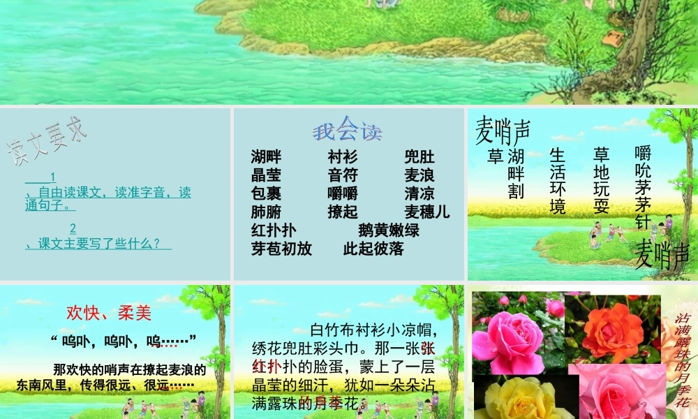 四年级语文下册 第六单元 23《麦哨》课堂教学课件3 新人教版-新人教版小学四年级下册语文课件