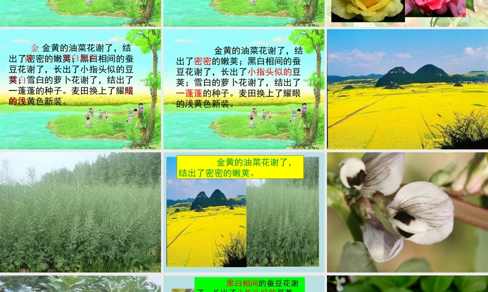 四年级语文下册 第六单元 23《麦哨》课堂教学课件3 新人教版-新人教版小学四年级下册语文课件