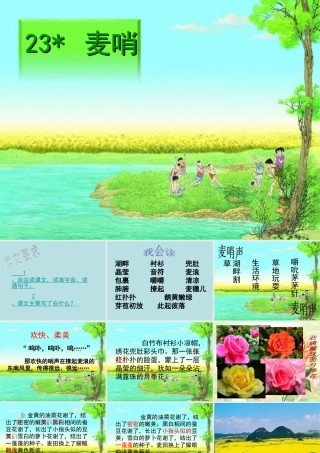 四年级语文下册 第六单元 23《麦哨》课堂教学课件3 新人教版-新人教版小学四年级下册语文课件