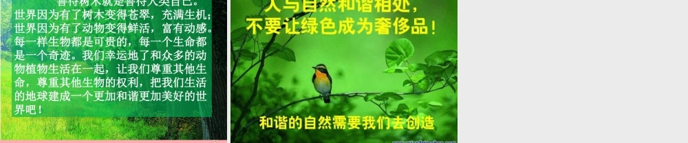 四年级语文上册 第三单元 向大树道歉课件3 西师大版-西师大版小学四年级上册语文课件