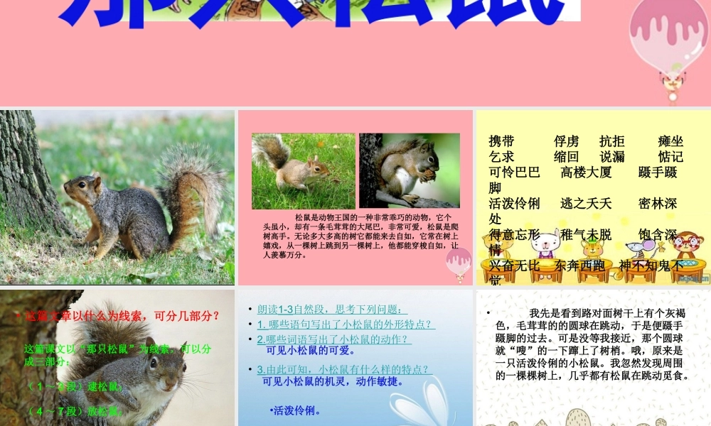 四年级语文上册 第五单元 那只松鼠课件3 西师大版-西师大版小学四年级上册语文课件