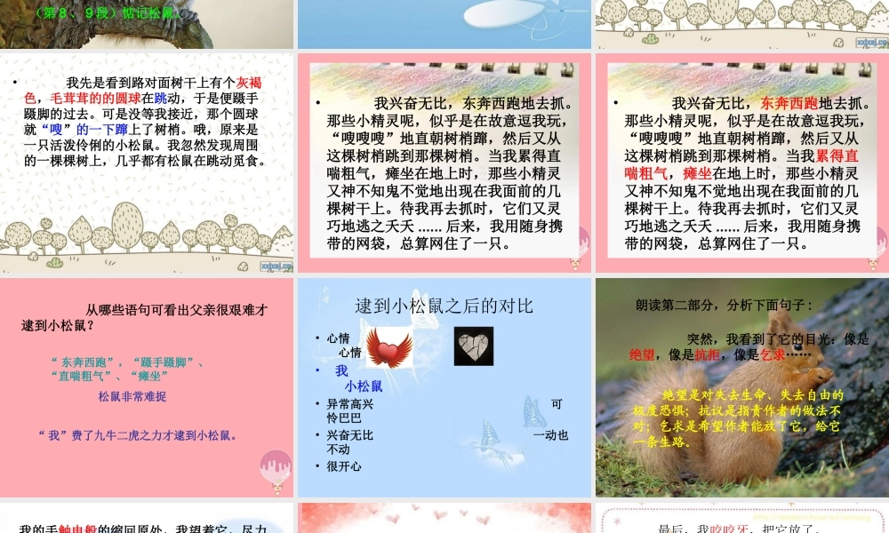 四年级语文上册 第五单元 那只松鼠课件3 西师大版-西师大版小学四年级上册语文课件