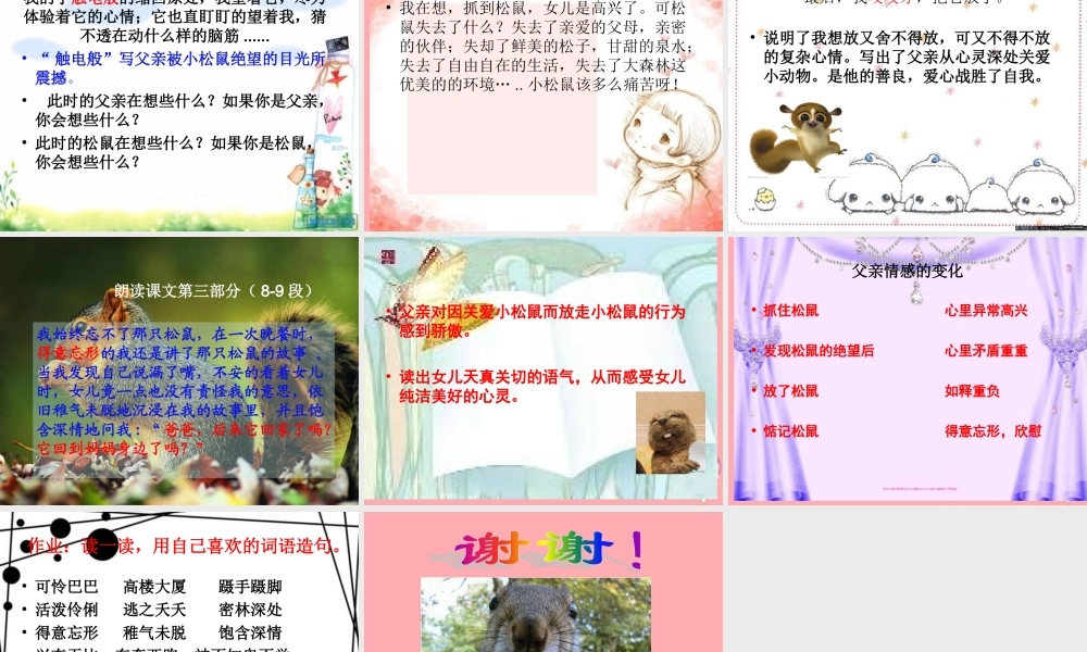 四年级语文上册 第五单元 那只松鼠课件3 西师大版-西师大版小学四年级上册语文课件