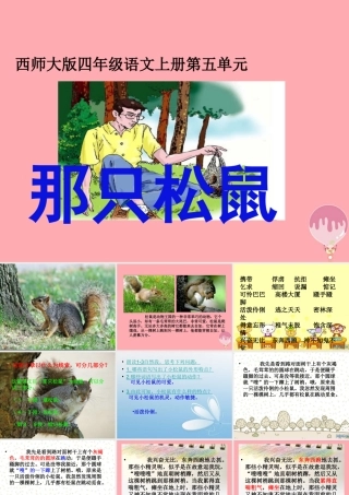 四年级语文上册 第五单元 那只松鼠课件3 西师大版-西师大版小学四年级上册语文课件