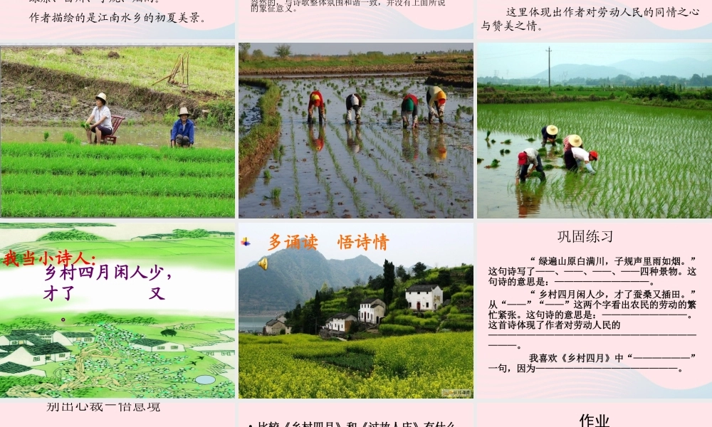 四年级语文下册 第六单元 23《乡村四月》课件 新人教版-新人教版小学四年级下册语文课件