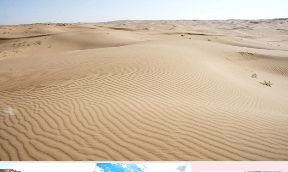 文上册 第六单元 19青山不老课件