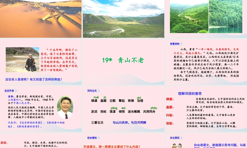 文上册 第六单元 19青山不老课件