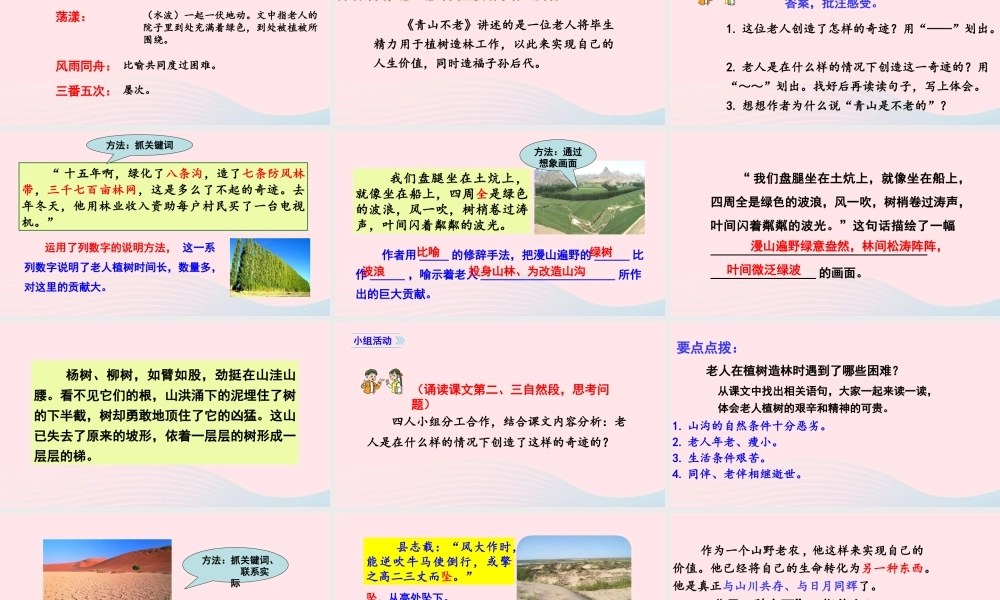文上册 第六单元 19青山不老课件