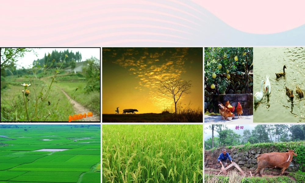 四年级语文下册 第六单元 23古诗词三首《四时田园杂兴》课件 新人教版-新人教版小学四年级下册语文课件