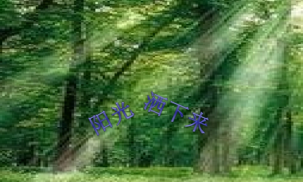 四年级语文上册 第三单元 阳光洒下来课件3 鄂教版-鄂教版小学四年级上册语文课件