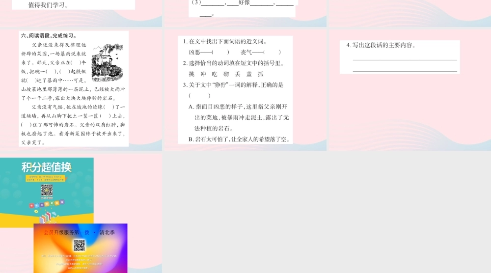 四年级语文下册 第7组 28 父亲的菜园习题课件 新人教版-新人教版小学四年级下册语文课件