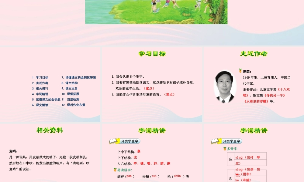 四年级语文下册 第六单元 24 麦哨（第1课时）课件 新人教版-新人教版小学四年级下册语文课件