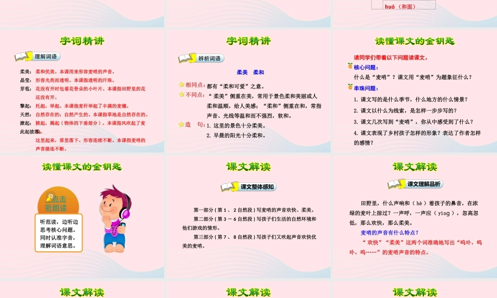 四年级语文下册 第六单元 24 麦哨（第1课时）课件 新人教版-新人教版小学四年级下册语文课件