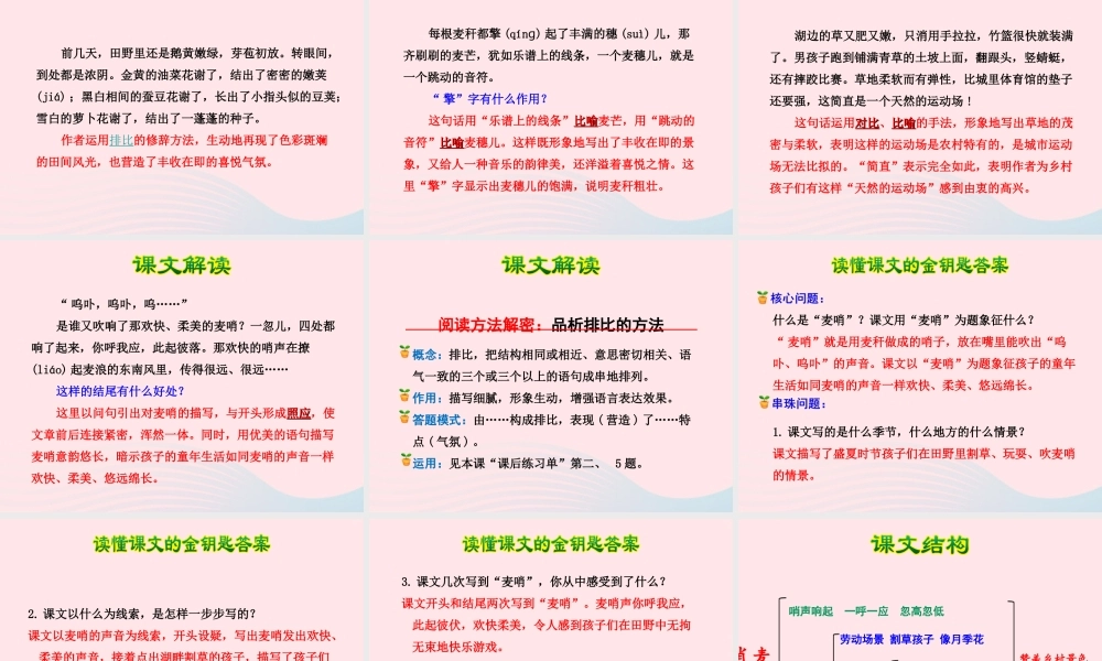 四年级语文下册 第六单元 24 麦哨（第1课时）课件 新人教版-新人教版小学四年级下册语文课件