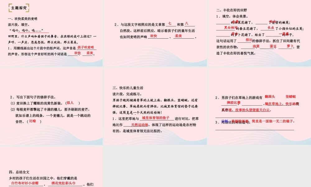 四年级语文下册 第六单元 24 麦哨（第2课时）课件 新人教版-新人教版小学四年级下册语文课件