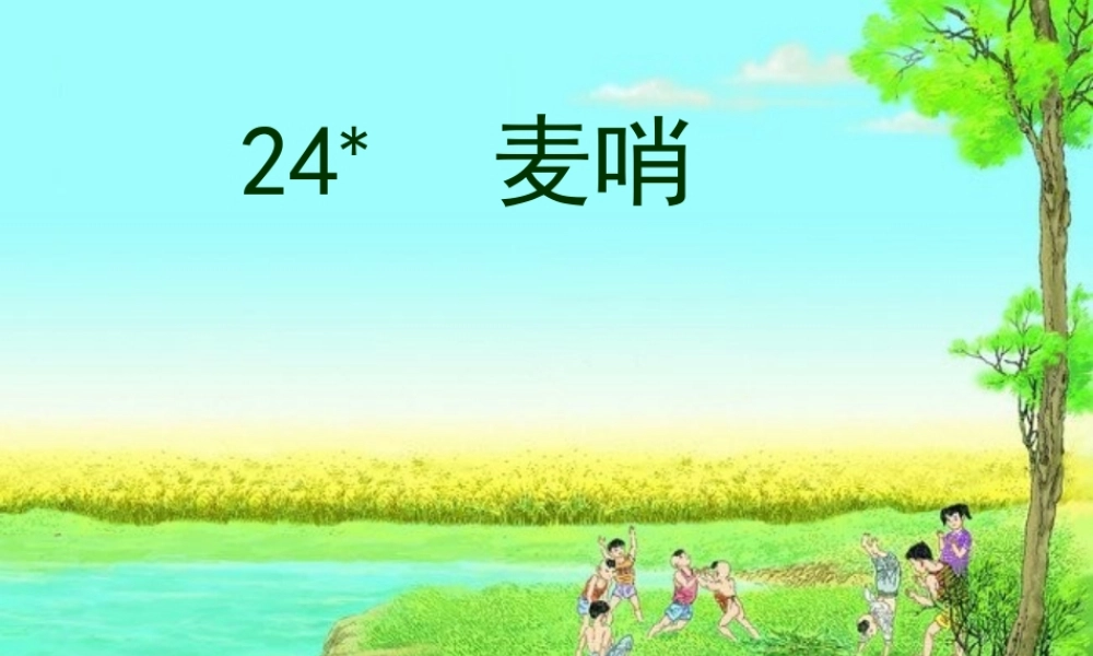 四年级语文下册 第六单元 24 麦哨课件1 新人教版-新人教版小学四年级下册语文课件