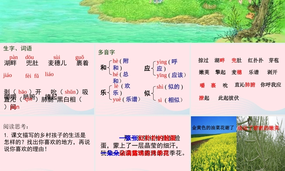 四年级语文下册 第六单元 24 麦哨课件1 新人教版-新人教版小学四年级下册语文课件