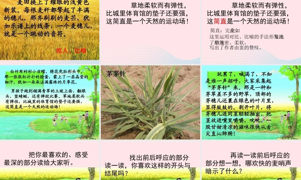 四年级语文下册 第六单元 24 麦哨课件1 新人教版-新人教版小学四年级下册语文课件