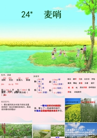四年级语文下册 第六单元 24 麦哨课件1 新人教版-新人教版小学四年级下册语文课件