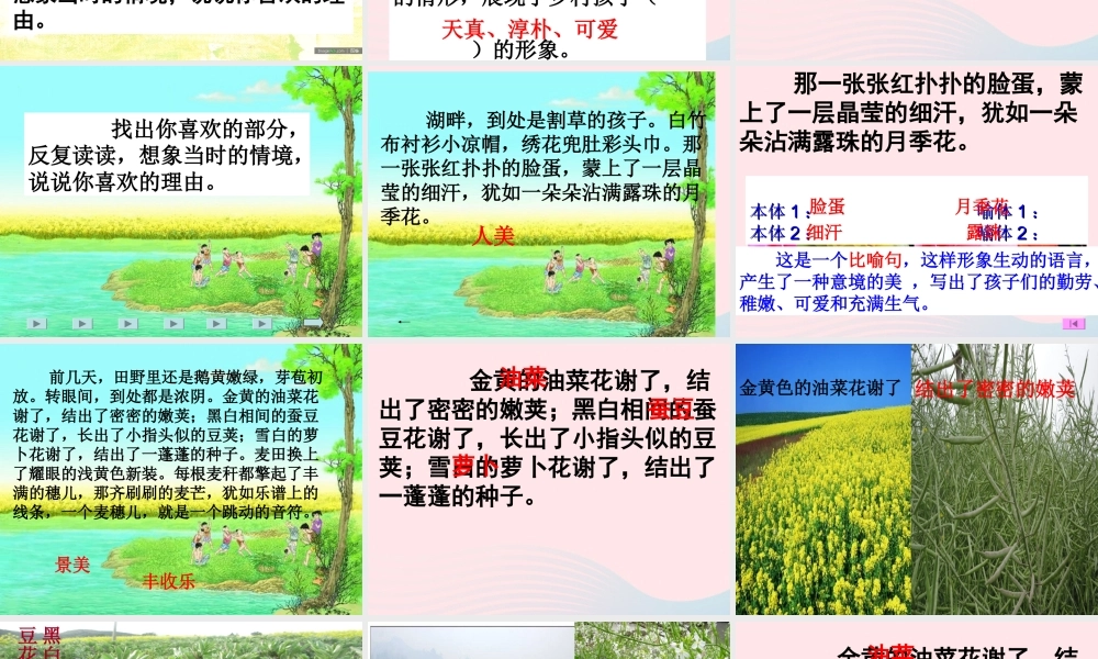 四年级语文下册 第六单元 24 麦哨课件2 新人教版-新人教版小学四年级下册语文课件