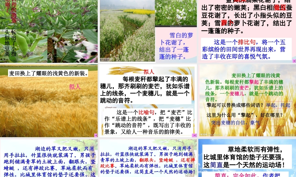 四年级语文下册 第六单元 24 麦哨课件2 新人教版-新人教版小学四年级下册语文课件