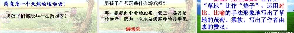 四年级语文下册 第六单元 24 麦哨课件2 新人教版-新人教版小学四年级下册语文课件