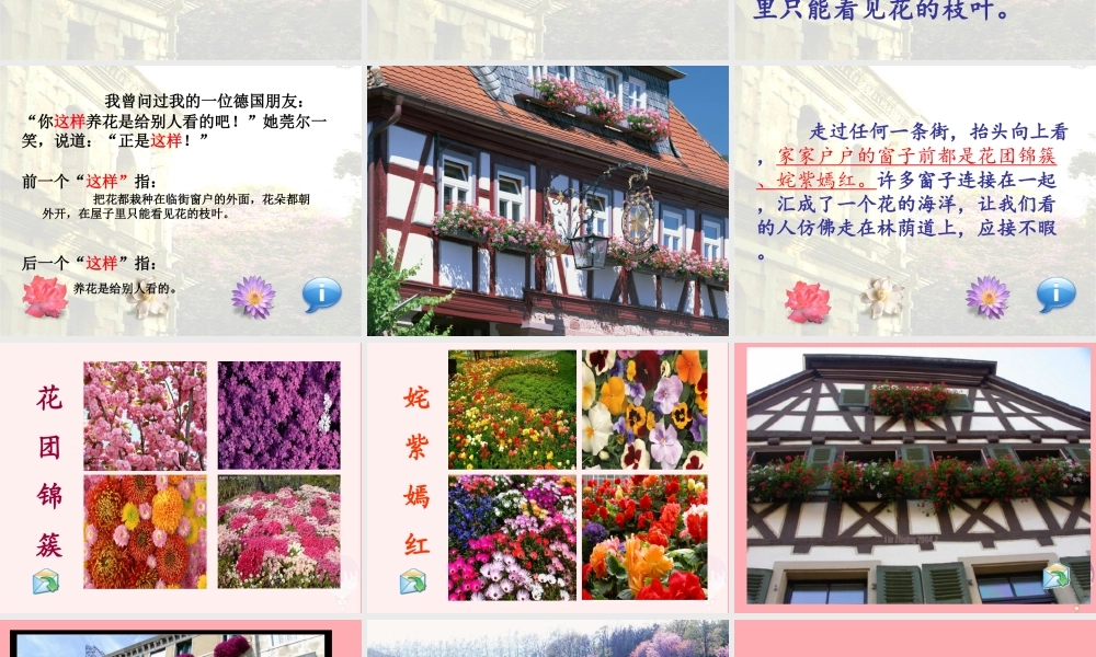 四年级语文上册 第三单元 自己的花是让别人看的课件1 鄂教版-鄂教版小学四年级上册语文课件