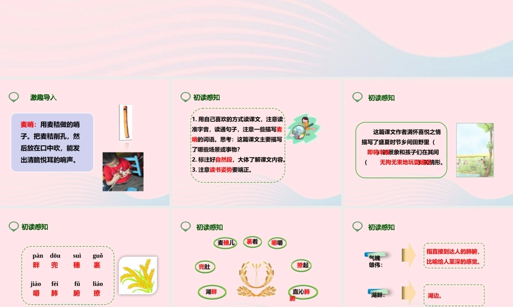 四年级语文下册 第六单元 24 麦哨课件3 新人教版-新人教版小学四年级下册语文课件