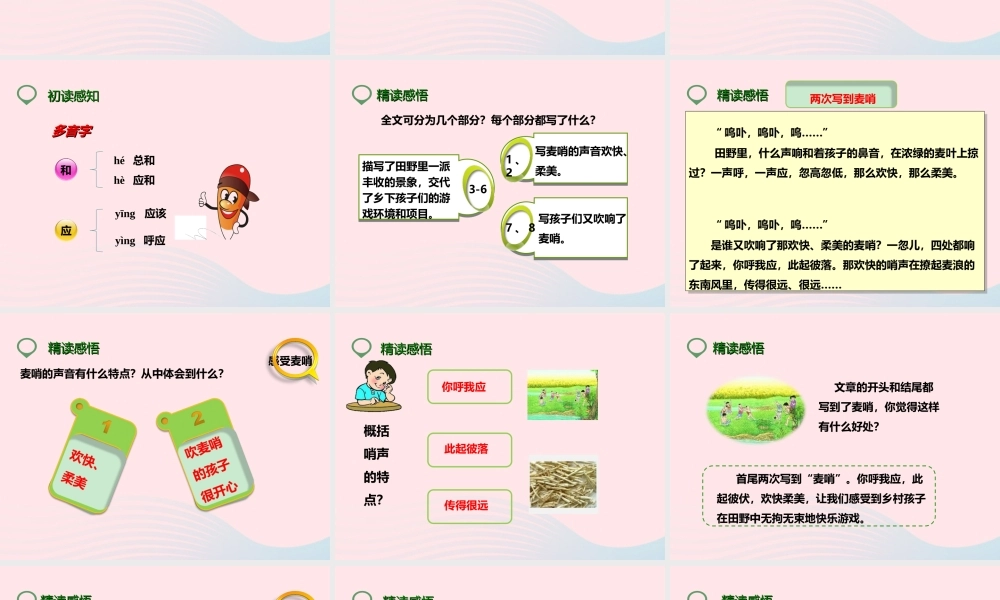 四年级语文下册 第六单元 24 麦哨课件3 新人教版-新人教版小学四年级下册语文课件