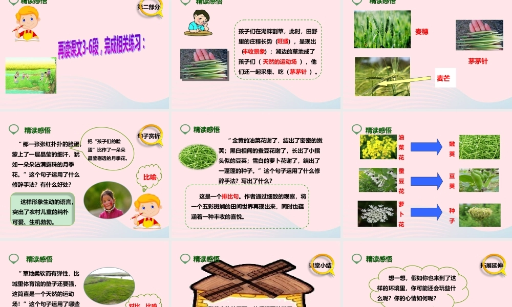 四年级语文下册 第六单元 24 麦哨课件3 新人教版-新人教版小学四年级下册语文课件