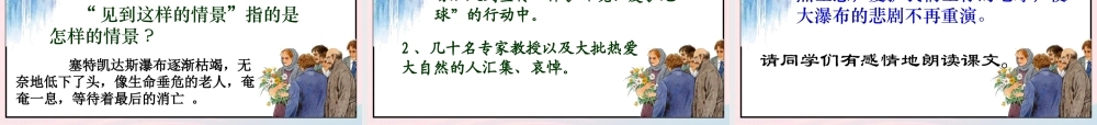 四年级语文下册 第六单元 第18课《特殊的葬礼》课件 苏教版-苏教版小学四年级下册语文课件